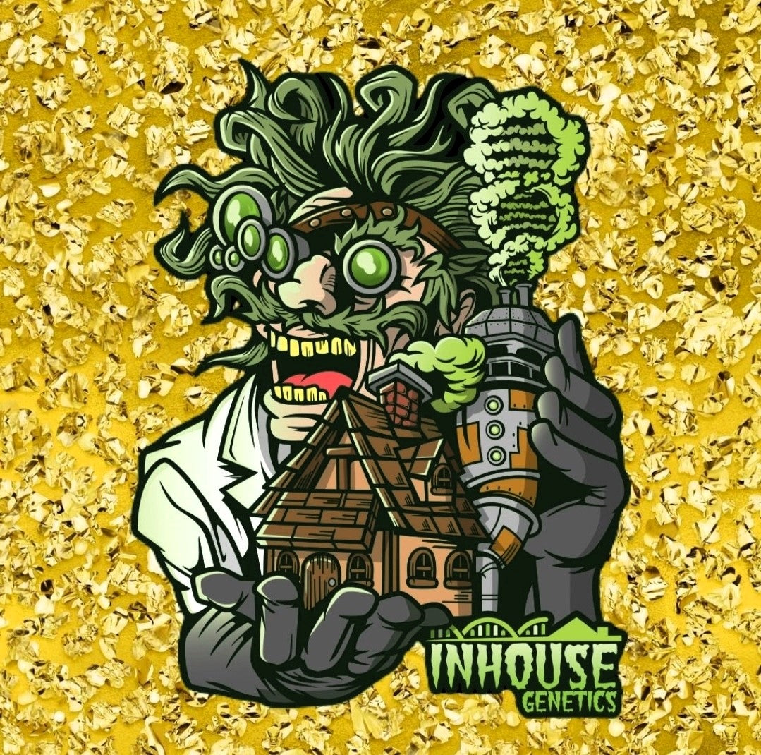 Platinum Kush Breath REMIX 🚺