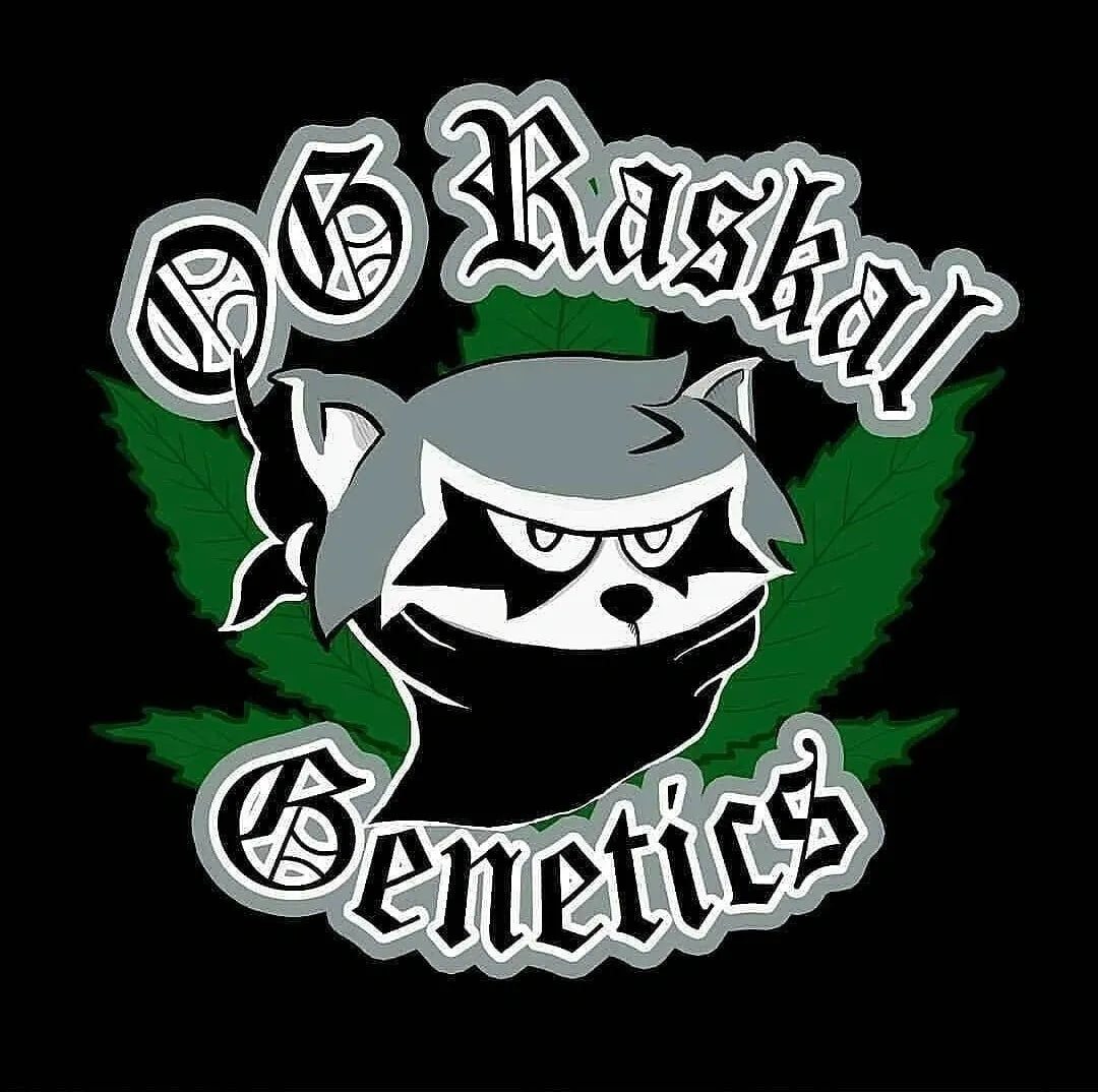 OG Raskal Genetics – Seed Vault
