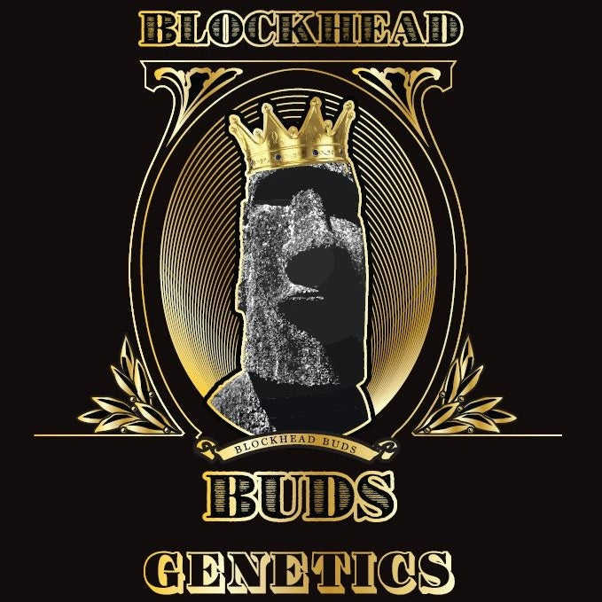 Blockhead Buds – Seed Vault