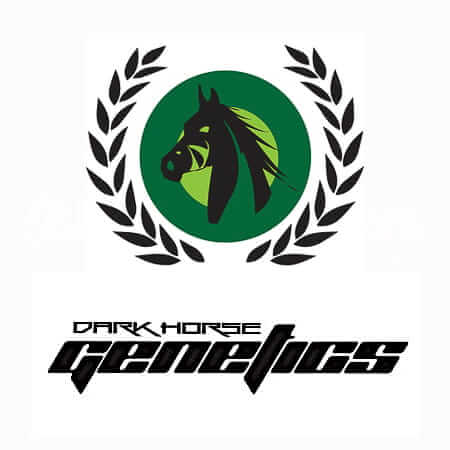 Dark Horse Genetics – Seed Vault
