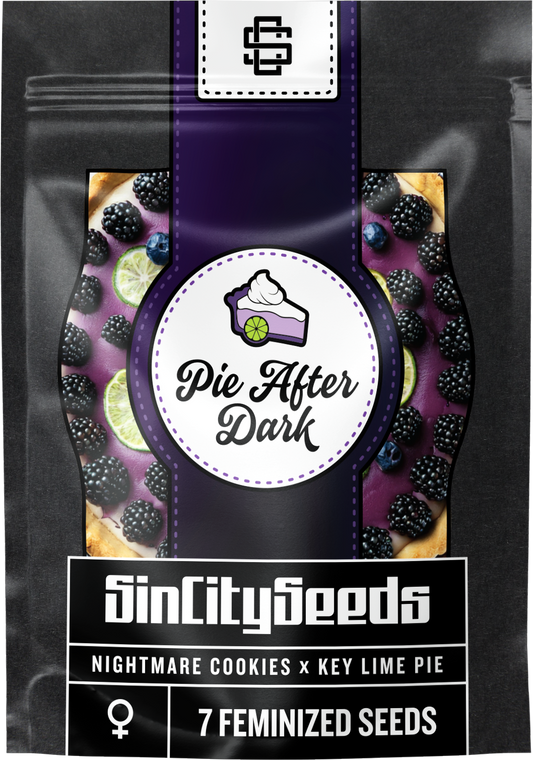 Pie After Dark 🚺