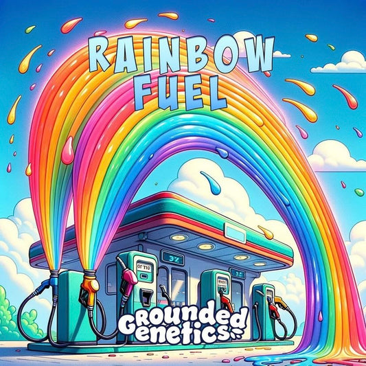 Rainbow Fuel 🚺