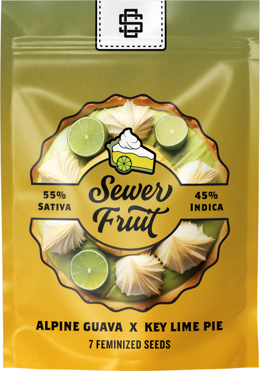 Sewer Fruit 🚺