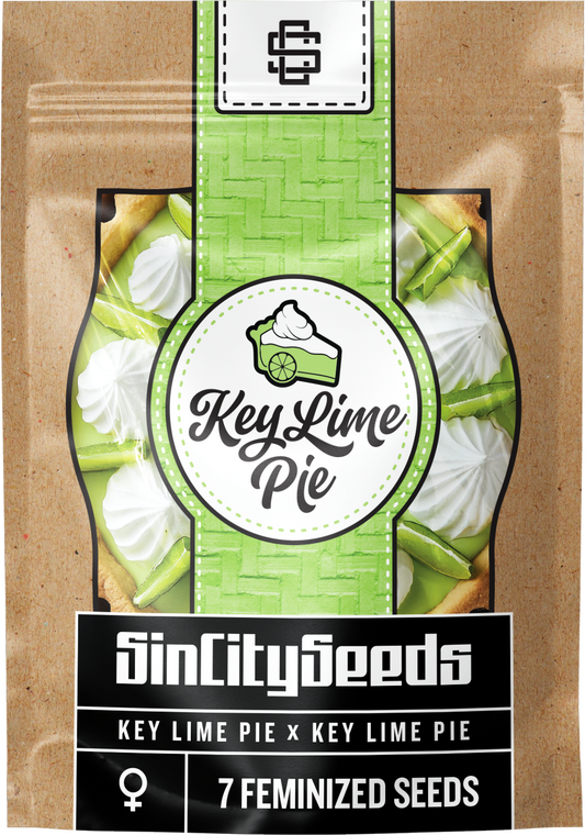 Key Lime Pie S1 🚺