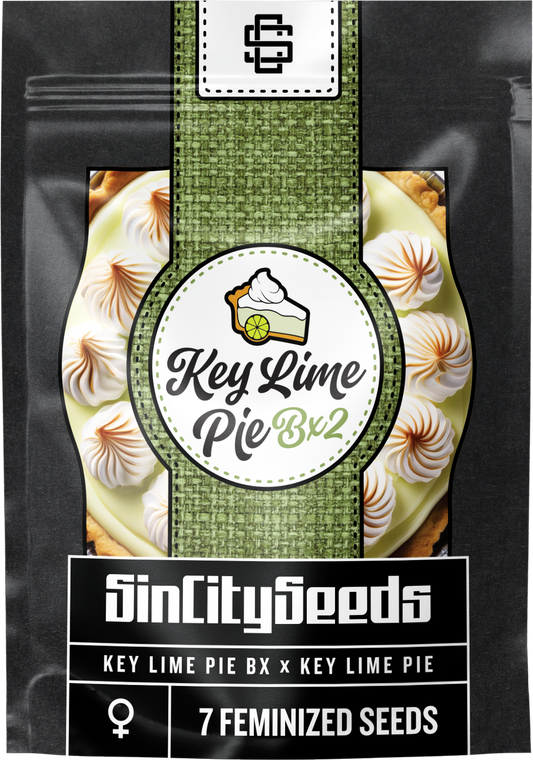 Key Lime Pie BX2 🚺