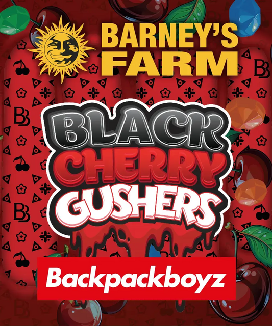 Black Cherry Gushers 🚺