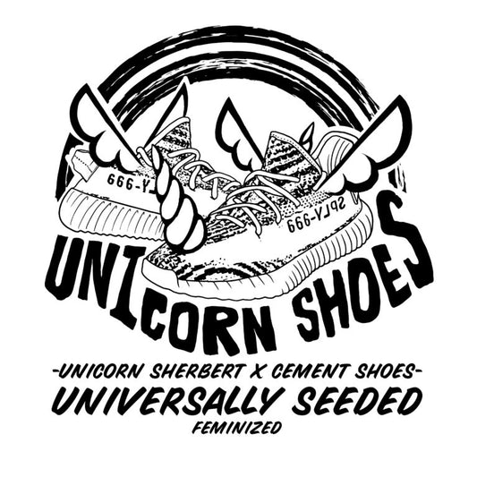 Unicorn Shoes 🚺