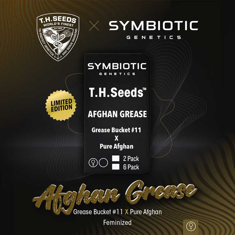 Afghan Grease 🚺 – Seed Vault